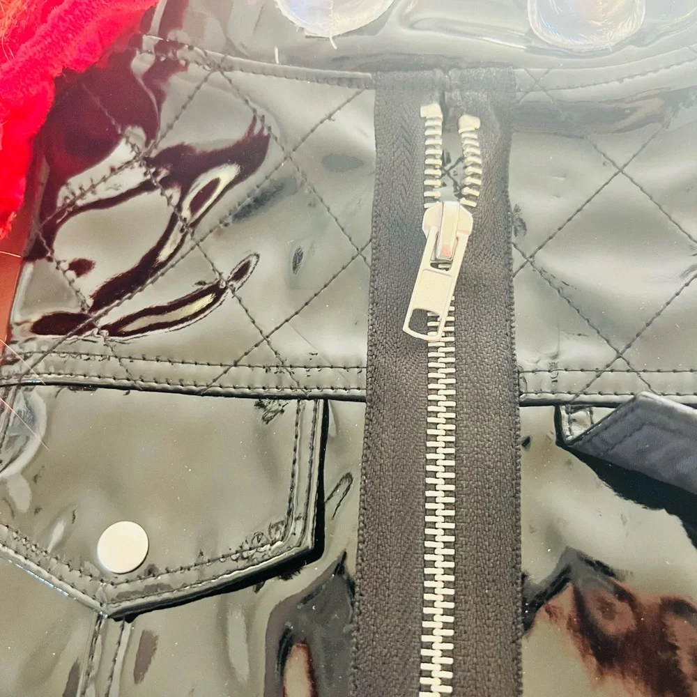 Pet Punk Costume